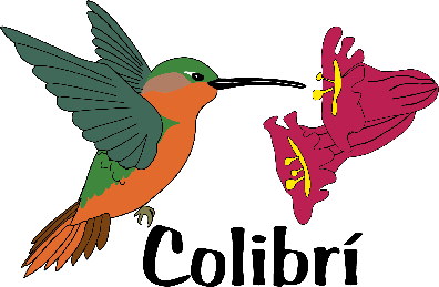 Colibrí