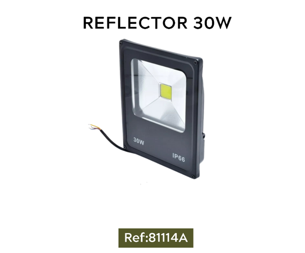 REFLECTOR 30W