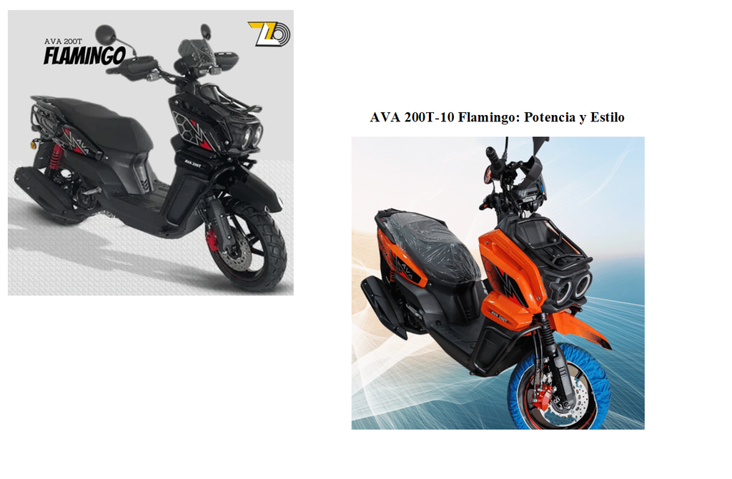 Moto a gasolina AVA 200T-10 Flamingo