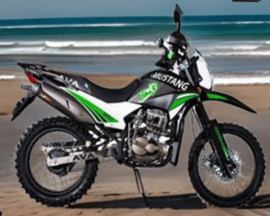 Moto Deportiva MUSTANG 250GY AVA