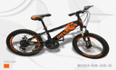 BICICLETA 20 NARANJA